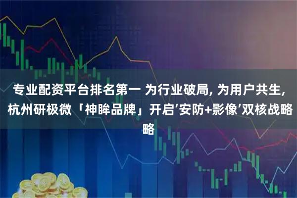 专业配资平台排名第一 为行业破局, 为用户共生, 杭州研极微「神眸品牌」开启‘安防+影像’双核战略