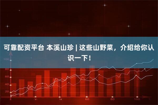 可靠配资平台 本溪山珍 | 这些山野菜,介绍给你认识一下!