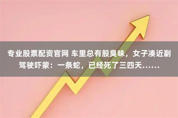 专业股票配资官网 车里总有股臭味，女子凑近副驾驶吓蒙：一条蛇，已经死了三四天……